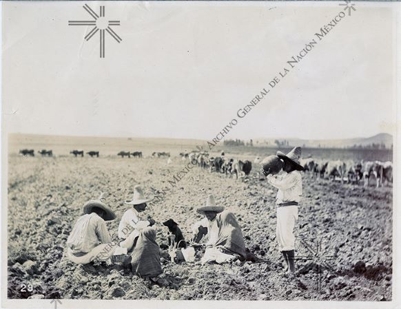 The Land Problem Luis Terrazas And The Latifundia