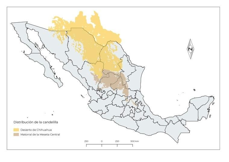 Candelilla plant distribution map in Mexico.