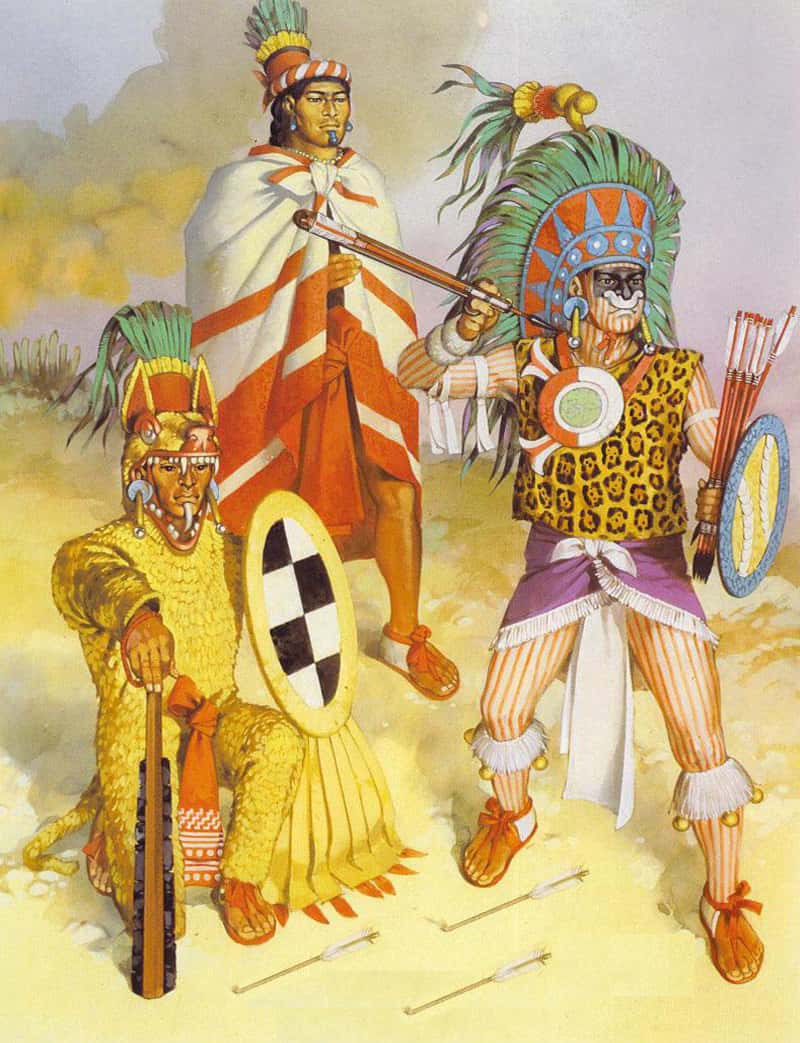 the-origins-of-the-mexican-army-in-the-pre-hispanic-era