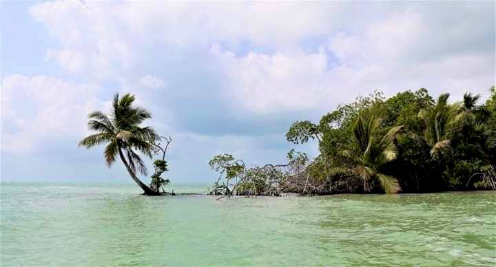 Coastal Landscapes and Natural Heritage of Chetumal Bay