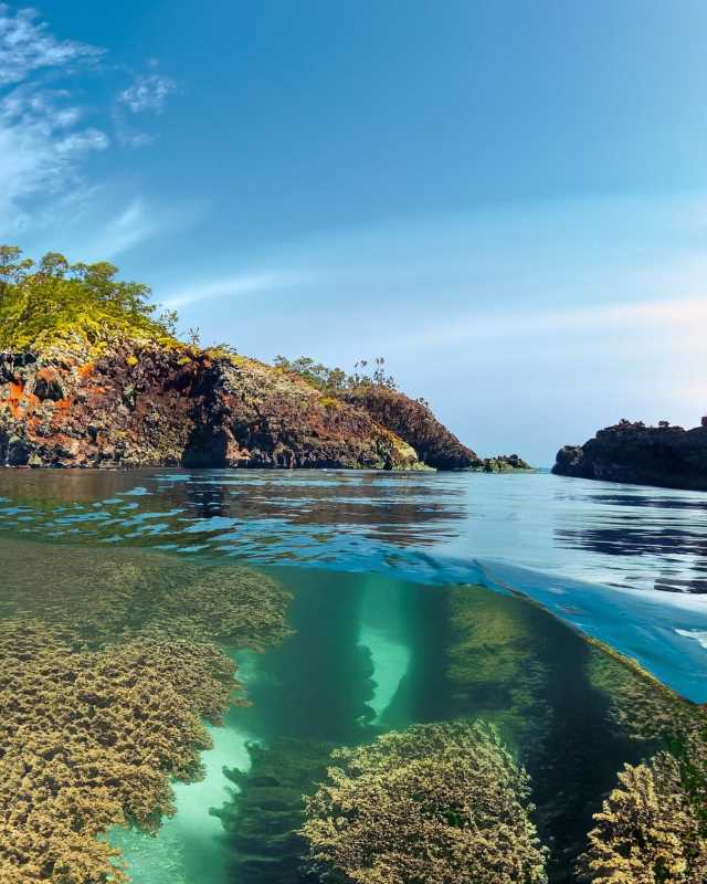 Diverse marine ecosystems thrive in the protected waters of the Whale Channel.