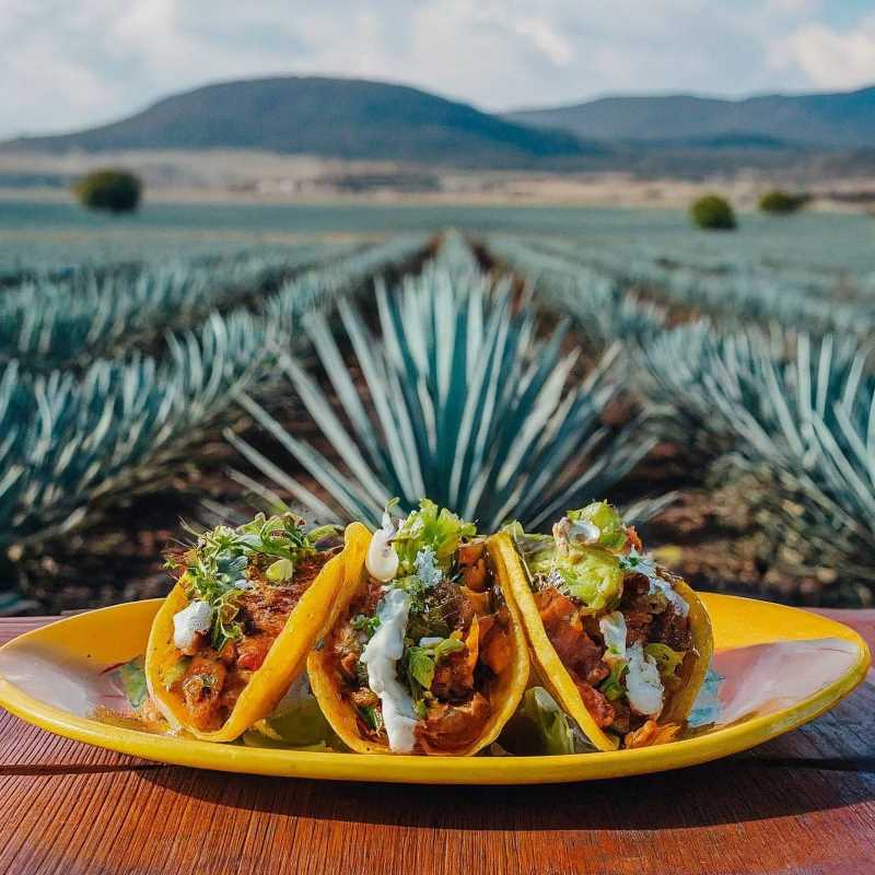 Why Tequila, Jalisco is the Ultimate September Getaway (And It’s Not Just the Drink)