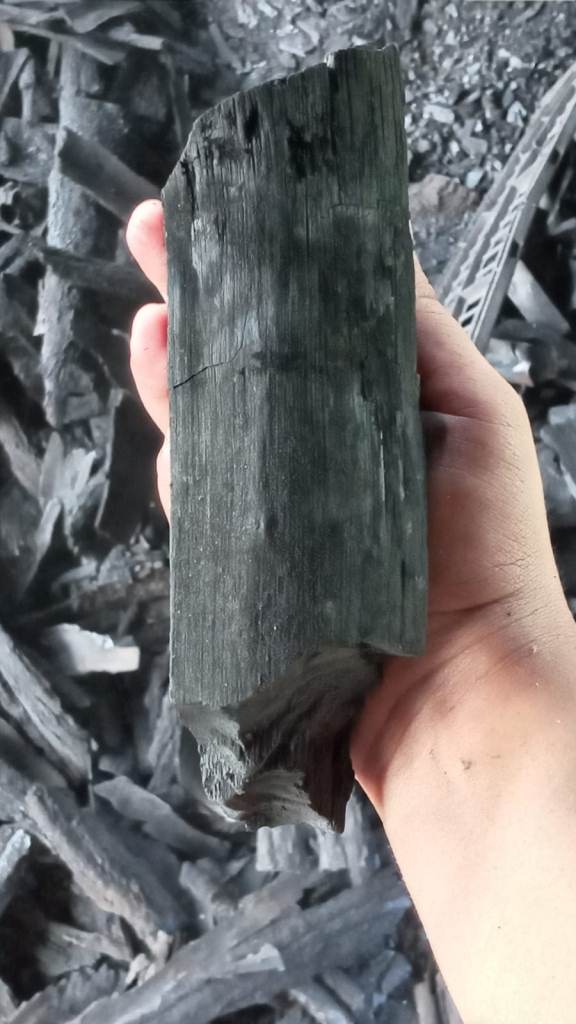 Mangrove charcoal.