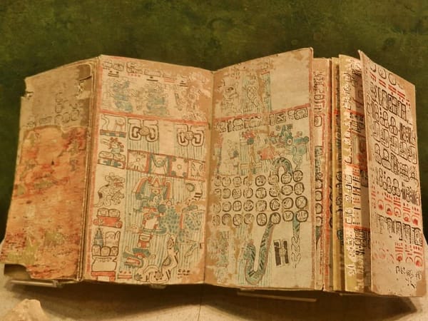 The Maya codices were made with the inner bark of the amate tree.