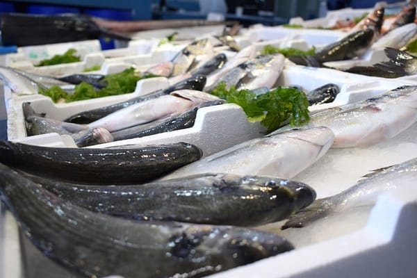 Sea bass fish counter.