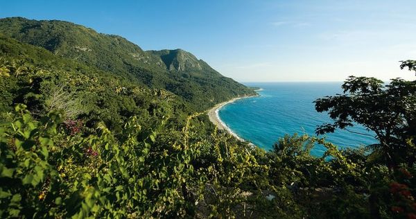 Coffee Routes in the Dominican Republic