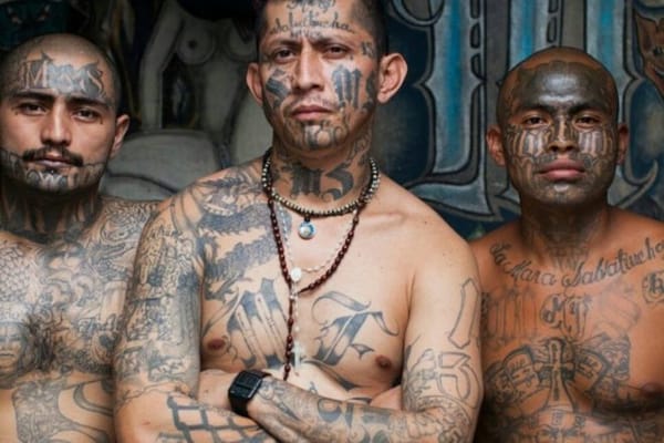 Members of the MS13.