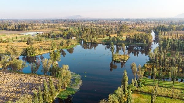 Wetlands in Mexico