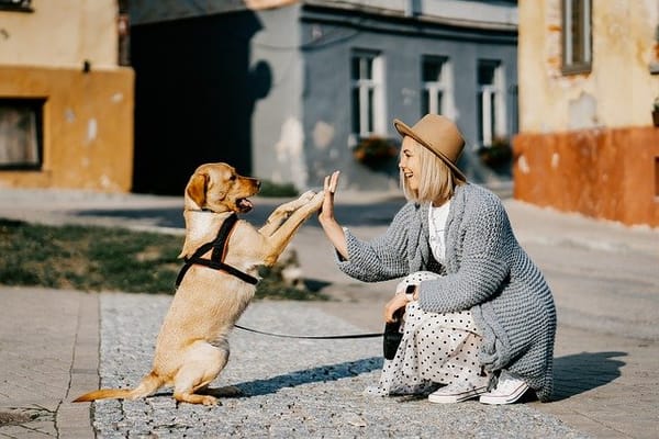 Girl with a companion animal.