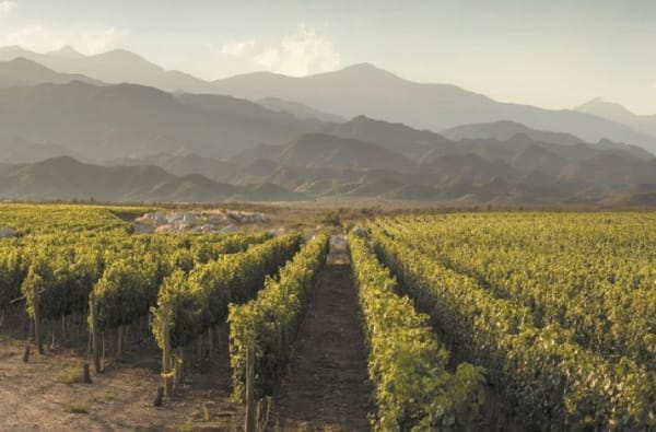 Bodega Trapiche. Photo: Courtesy