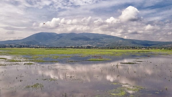 Lake Cuitzeo, Michoacan, Mexico.