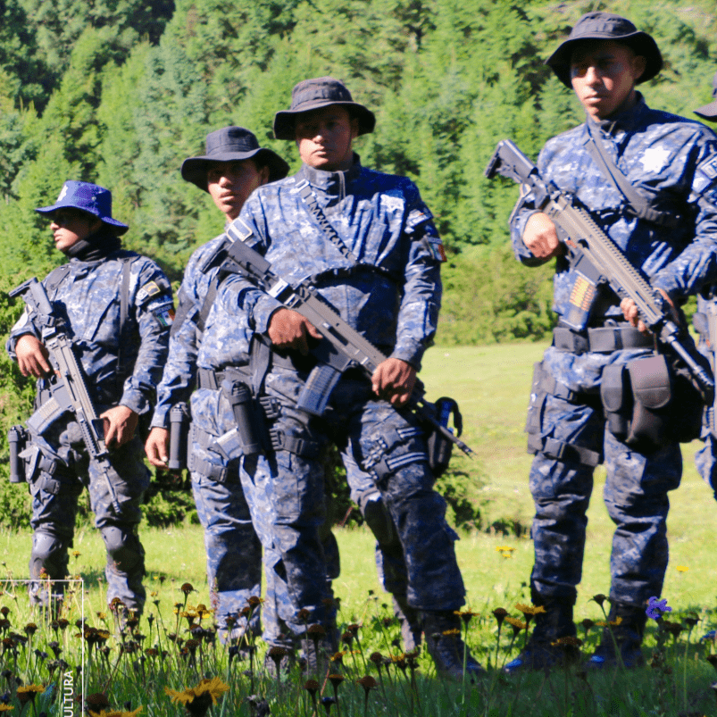 Environmental Gendarmerie