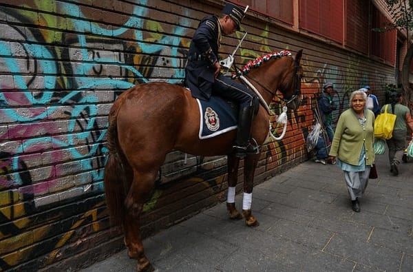 Regina street in Mexico City.