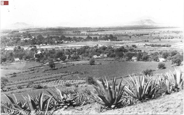 Panoramic view of the Valley of Mexico from Tlalpan.