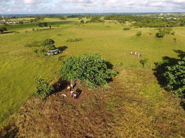 Scholars discovered almost 500 constructions under the soil of Tabasco and Veracruz.