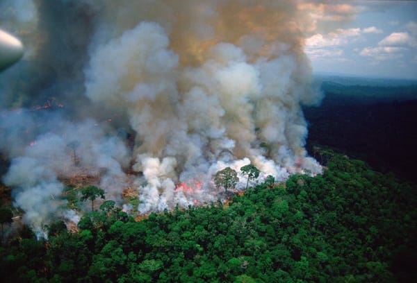 Fires in the Brazilian Amazon