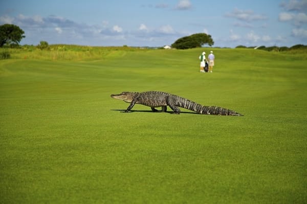 Mexico is already a world power in golf, says Lorena Ochoa