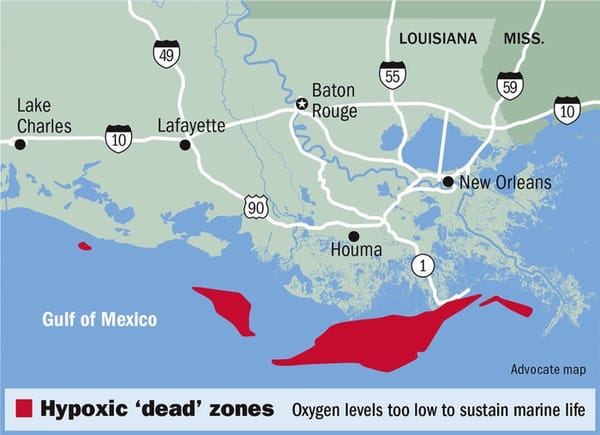 La zona muerta de oxígeno del Golfo de México