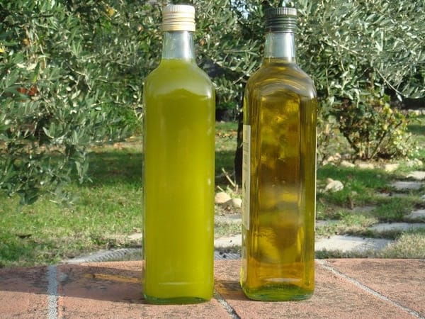 New oil and old vegetable oils.