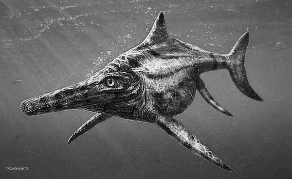 What is most relevant about the ichthyosaur found in England?