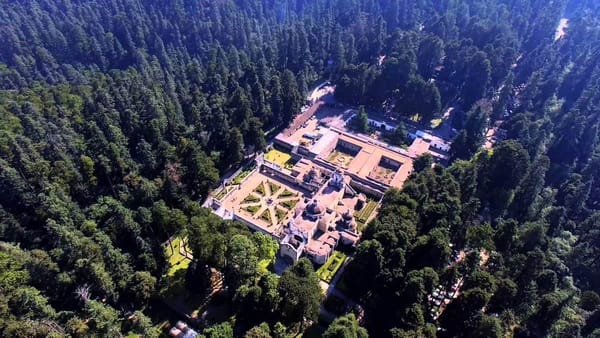 Desierto de los Leones National Park in Mexico City.