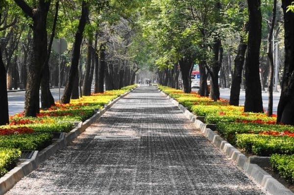 Mexico City has plenty of green spaces to explore such as parks and nature.