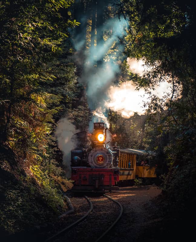 El Chepe passenger train in Mexico on its world-famous scenic route.