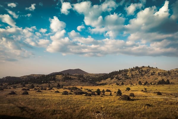 Grassland soils are fertile and moderately rich in organic matter.