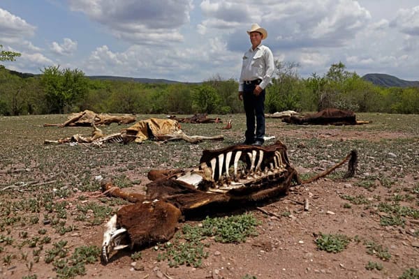 The Water Crisis in the Northern States of Mexico.