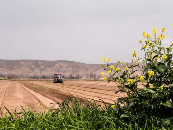 Challenges for the Agribusiness-Related Future.