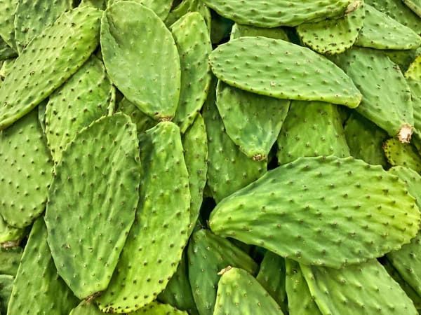 This is how to cook nopales without water.