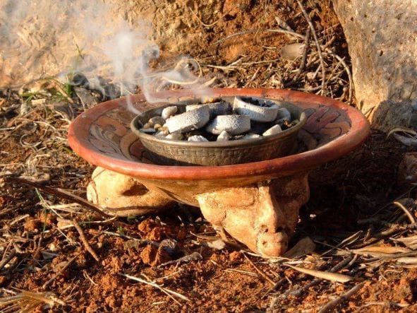 The planting and harvesting of aromatic bursera resin.