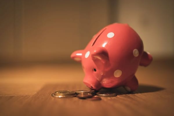 I don't understand the point of a piggy bank. Learn the back-story.