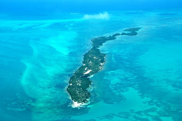 Most marine environments in Mexico are home to a plethora of different species.