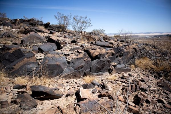 Mexican desert varnishes may be analogues for the search for life on Mars.