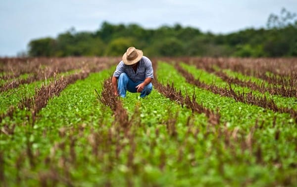 A change in favor of agriculture requires an adequate distribution of economic resources.