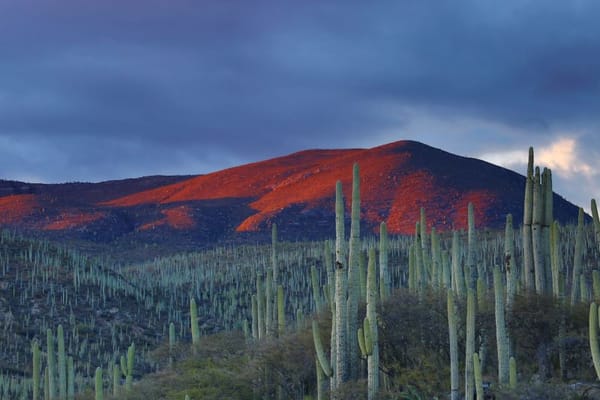 5 Advantages of Mexican Education System