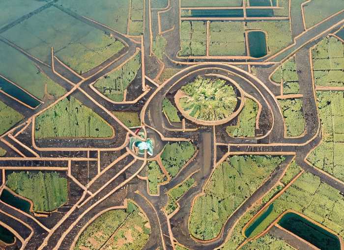 Aerial view of the intricate network of Apantles, showcasing the Mexica's advanced irrigation system.