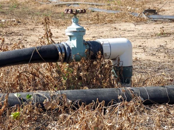 Fernando González Villarreal, UNAM Water Network coordinator, highlights Mexico's water crisis.