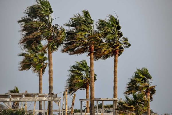 Adrian, the first tropical storm of the season, brings high swells and unpredictable weather.