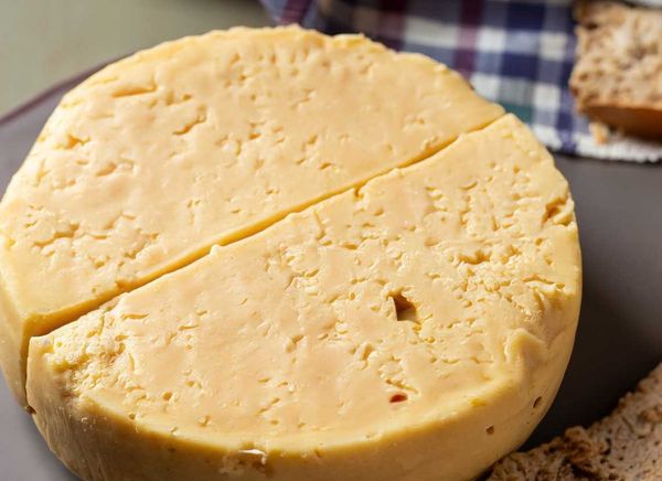 Innovative vegan cheese made from huauzontle waste, a sustainable delight that promotes a greener future.