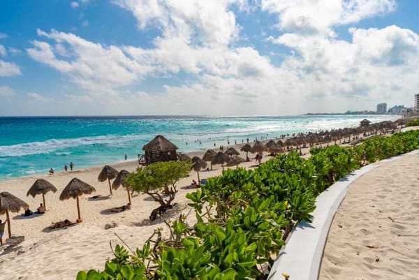 Current Cancun Seaweed Conditions and Forecast