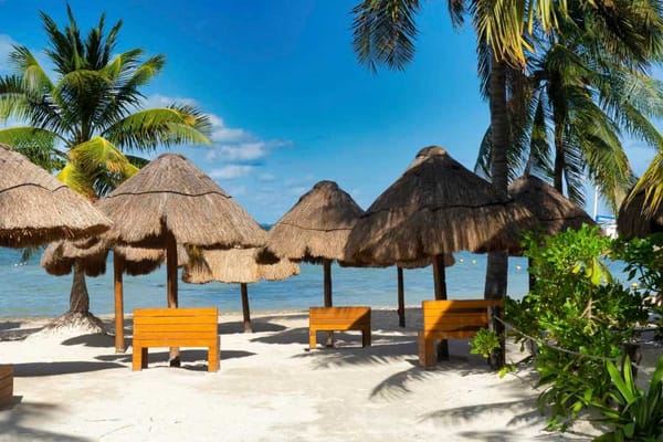 Visit the facilities of the certified beaches, which have palapas for free use.