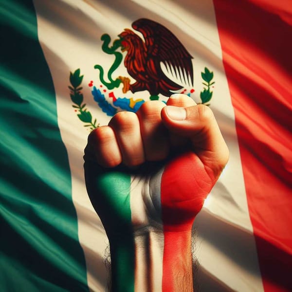A raised fist in front of a Mexican flag, symbolizing unity and respect for international law.