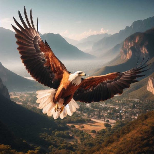 A large brown eagle with a white head and outstretched wings flies over a mountainous landscape in Mexico.