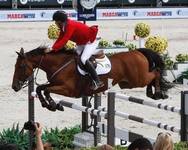 Photo of a horse and rider leaping over a jump at a show jumping competition.