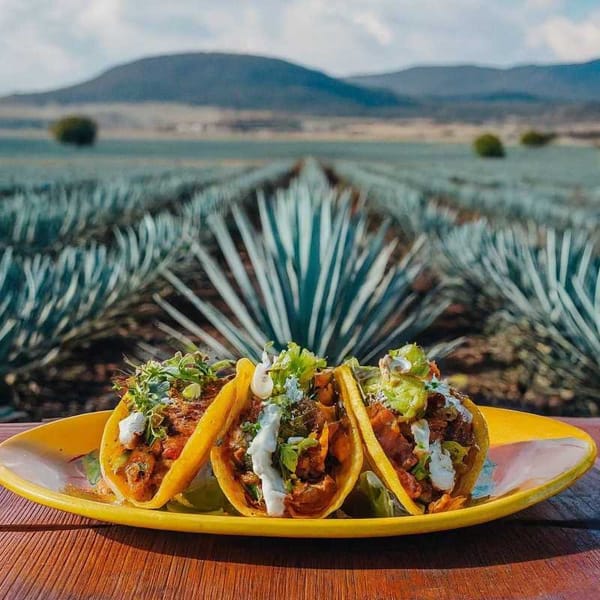  A plated dish featuring traditional Jalisco cuisine, set against the backdrop of agave fields in Tequila.