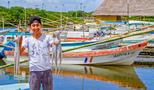 A Mayan octopus being caught by a fisherman using sustainable methods.