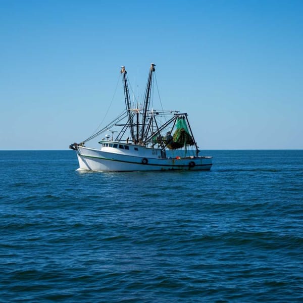 A shrimp boat navigates the choppy waters of the Gulf of California.