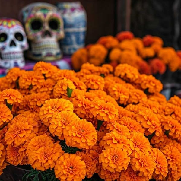 Cempasúchil flowers for sale at Mercado 23 in Cancun, with colorful Day of the Dead decorations.